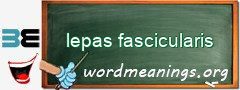 WordMeaning blackboard for lepas fascicularis